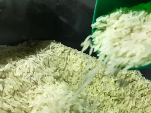 Arroz: Camex zera taxa de importação para garantir abastecimento