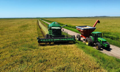 Colheita de arroz se encerra no RS com 7,16 milhões de toneladas do grão