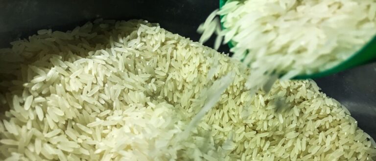 Conab compra 263,3 mil toneladas de arroz importado