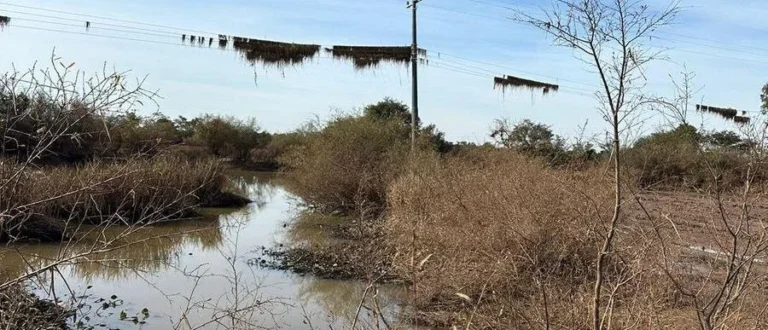 Desaparecido é localizado morto em Agudo