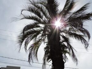 Calor e seca prolongada vão marcar junho, diz meteorologia