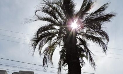 Calor e seca prolongada vão marcar junho, diz meteorologia