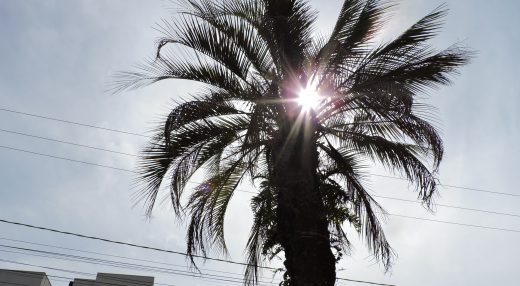 Próximas semanas serão marcadas pelo calor no RS, segundo a meteorologia / Foto: Milos Silveira/OC