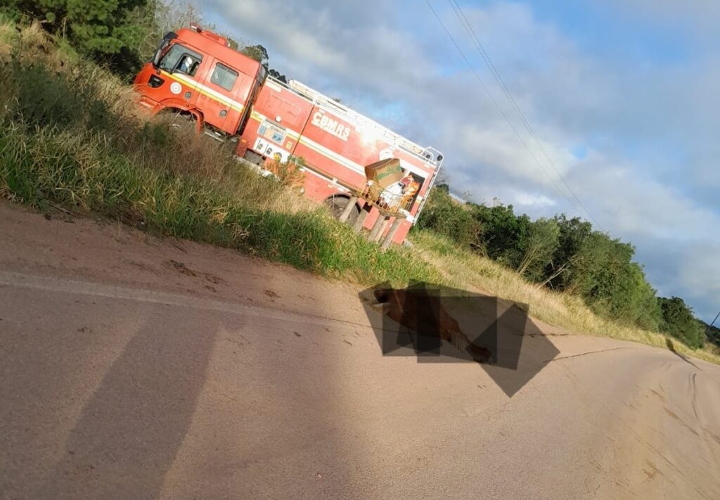 Crédito: Corpo de Bombeiros / AMBES