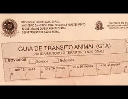 Guias de trânsito animal já são emitidas via Procergs