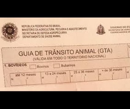 Guia de trânsito animal é obrigatória para movimentação de animais destinados à comercialização / Foto: Divulgação