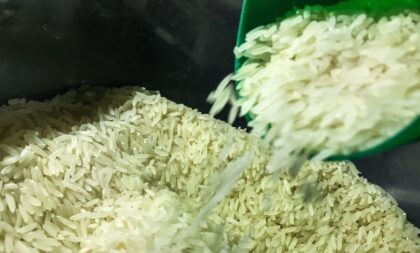 Sob suspeita, leilão de arroz importado é anulado