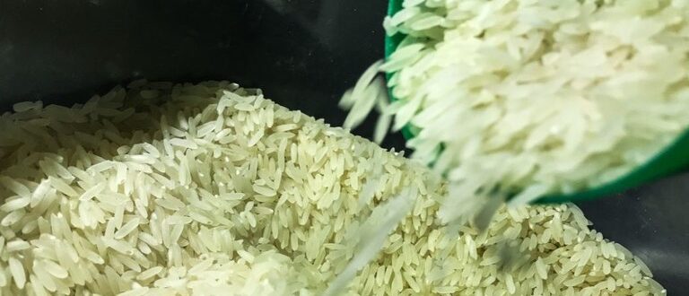 Sob suspeita, leilão de arroz importado é anulado