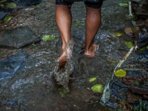 Doenças infecciosas devem aumentar no Rio Grande do Sul