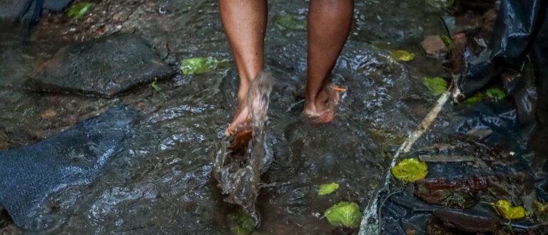 Doenças infecciosas devem aumentar no Rio Grande do Sul