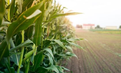 Certificado de Cadastro de Imóvel Rural está disponível a partir de terça (18)