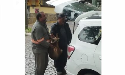 Veado foge do zoo e invade loja no Centro de Cachoeira