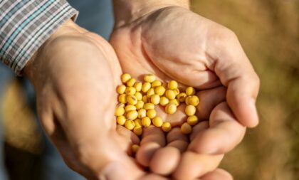 Ministério da Agricultura derruba em 11,86% o preço mínimo da soja