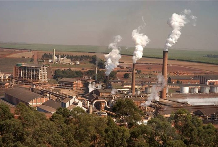 São Martinho é um conglomerado de produção de açúcar e etanol com destaque no cenário econômico nacional / Foto: Arquivo