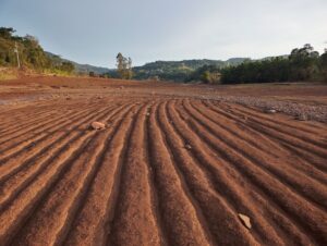 “O momento é de incerteza”, diz presidente da Afubra sobre SOS Agro RS