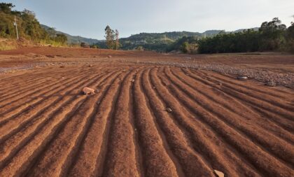 “O momento é de incerteza”, diz presidente da Afubra sobre SOS Agro RS