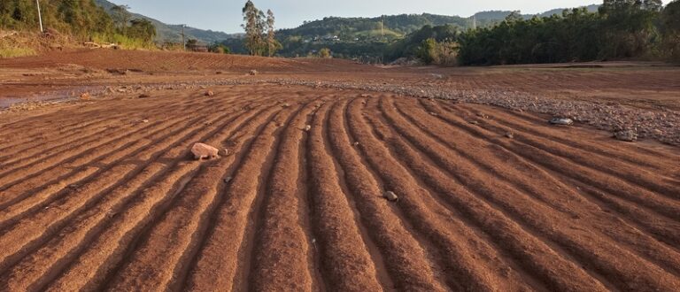 “O momento é de incerteza”, diz presidente da Afubra sobre SOS Agro RS