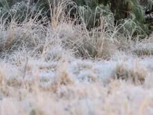 Cachoeira do Sul registra 0,7°C em dia com frio mais intenso no RS