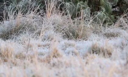 Cachoeira do Sul registra 0,7°C em dia com frio mais intenso no RS