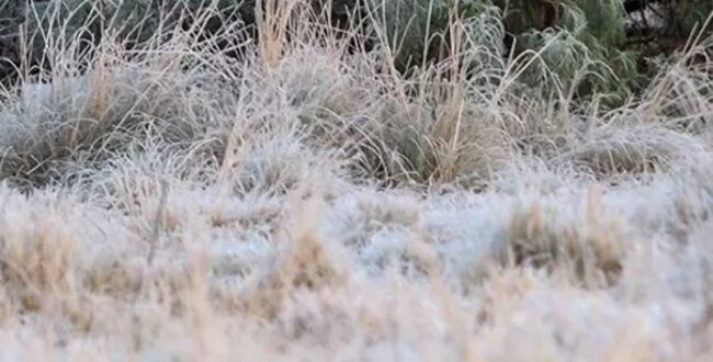 Cachoeira do Sul registra 0,7°C em dia com frio mais intenso no RS