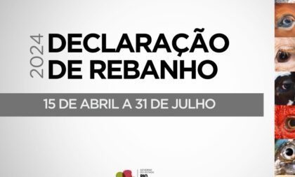 Prazo para Declaração Anual de Rebanho termina na quarta-feira (31)