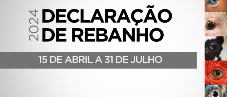 Prazo para Declaração Anual de Rebanho termina na quarta-feira (31)