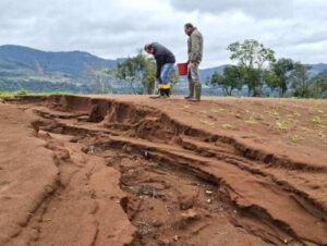 Seguro Rural no RS terá R$ 210 milhões do governo federal