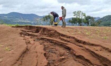 Seguro Rural no RS terá R$ 210 milhões do governo federal