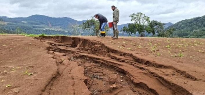 Seguro Rural no RS terá R$ 210 milhões do governo federal