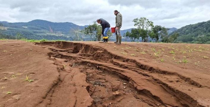 Seguro rural: previsão é de que área rural segurada deve alcançar 1 milhão de hectares e o valor total dos bens segurados pode chegar a R$ 9,5 bilhões | Foto: Fernando Dias/Seapi