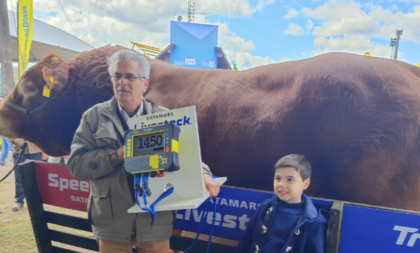 Fazenda Boa Esperança: 8 anos de supremacia com touro mais pesado na Expointer