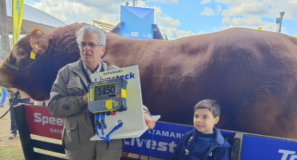 Fazenda Boa Esperança: 8 anos de supremacia com touro mais pesado na Expointer