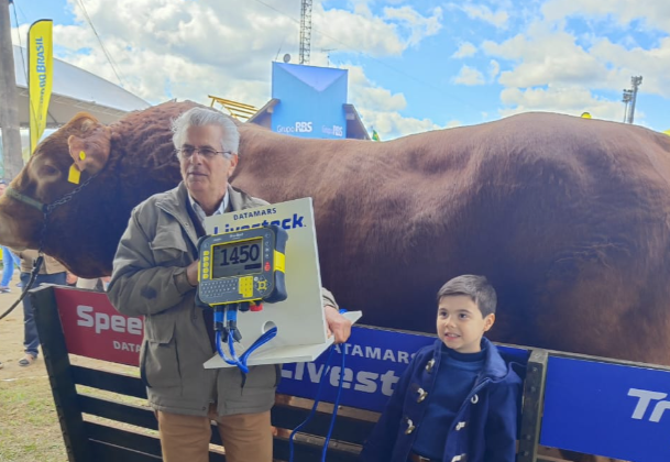 Touro mais pesado da Expointer 2024: com 1.450 quilos, Hudson da Boa Esperança consolida supremacia da raça Limousin na Expointer 2024, no Parque Assis Brasil, em Esteio / Foto: Divulgação