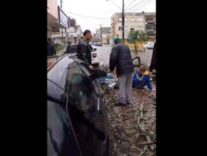 Queda de árvore no centro atinge duas pessoas