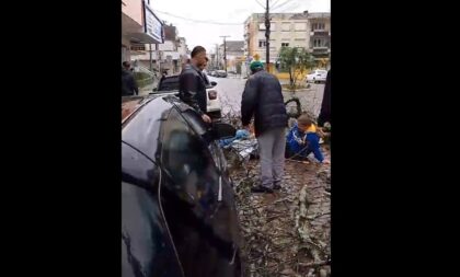 Queda de árvore no centro atinge duas pessoas