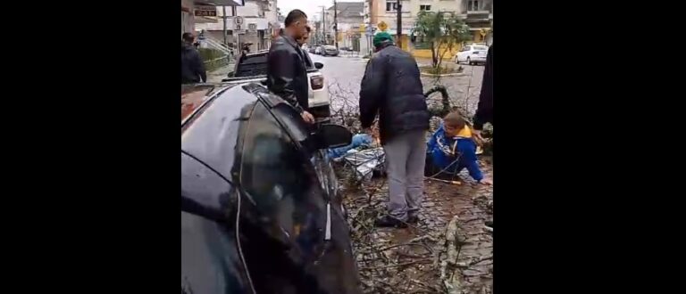 Queda de árvore no centro atinge duas pessoas