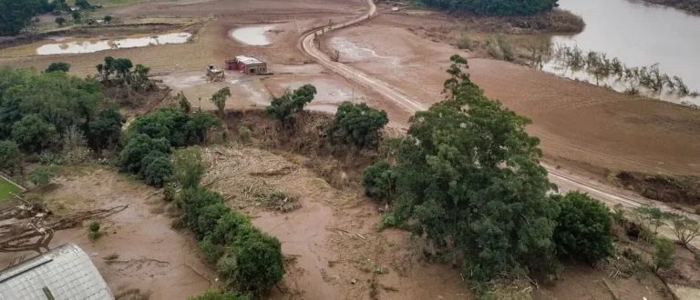 CMN prorroga renegociações de crédito rural no Rio Grande do Sul