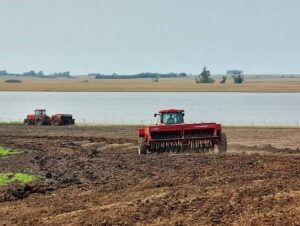 Região Central: semeadura do arroz atinge primeiros 1 mil hectares