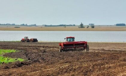 Região Central: semeadura do arroz atinge primeiros 1 mil hectares