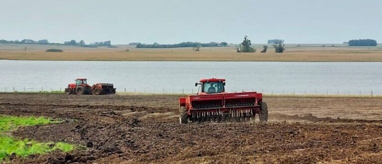 Região Central: semeadura do arroz atinge primeiros 1 mil hectares