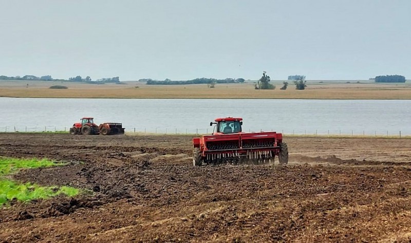 Semeadura do arroz está começando no Estado / Crédito: Ricardo Dalcin/Irga