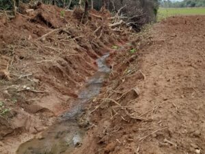 Vistoria identifica crime contra flora em Paraíso e Cachoeira do Sul