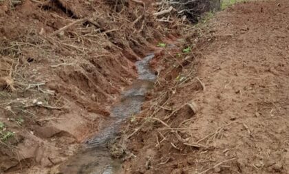 Vistoria identifica crime contra flora em Paraíso e Cachoeira do Sul