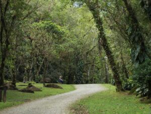 Veja como cuidar do planeta para ter um futuro sustentável