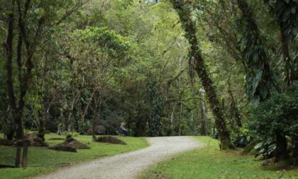 Veja como cuidar do planeta para ter um futuro sustentável