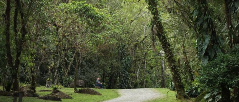 Veja como cuidar do planeta para ter um futuro sustentável