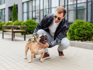 Veja os sintomas da gripe em animais de estimação