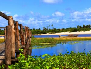 Conheça as belezas naturais de Santo Amaro