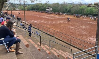 Ataque de abelhas deixa quatro feridos no Parque da Fenarroz