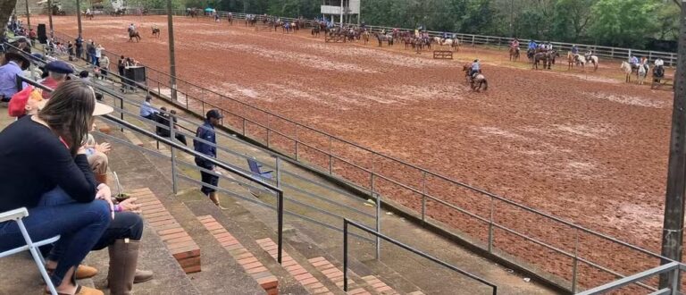 Ataque de abelhas deixa quatro feridos no Parque da Fenarroz